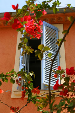 window with flowers - st tropez, provence, france